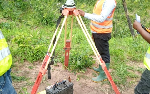 Training & Consultancy